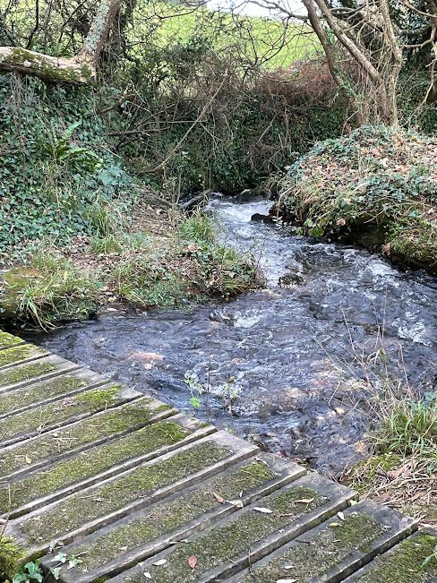 Bridge over stream near Bedruthan